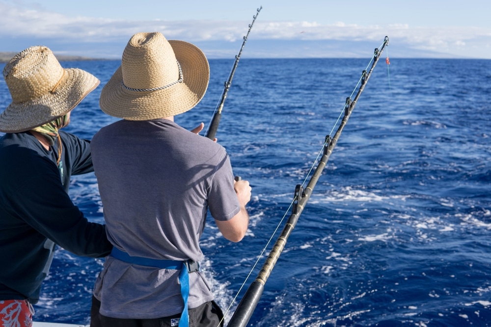 pêche thon occitanie