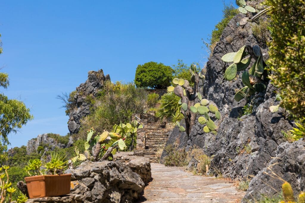 Jardin méditerranéen en Occitanie