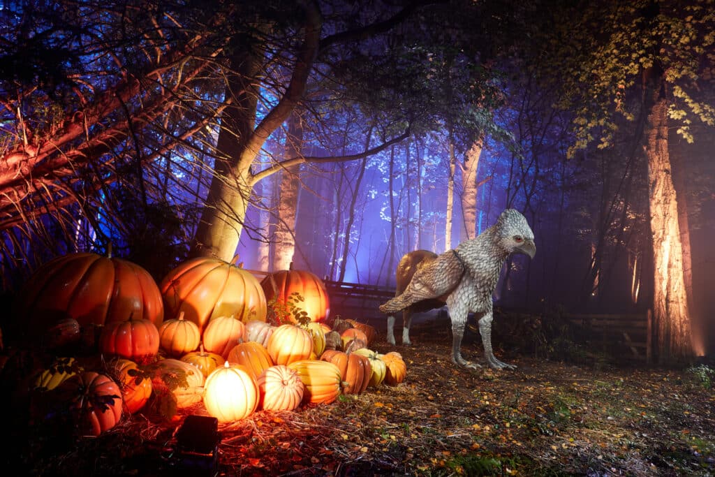 Buck, l'hippogriffe et d'autres hommages à l'univers d'Harry Potter parsèmeront le parc de Montauban. © Harry Potter : L'Expérience en Forêt Interdite
