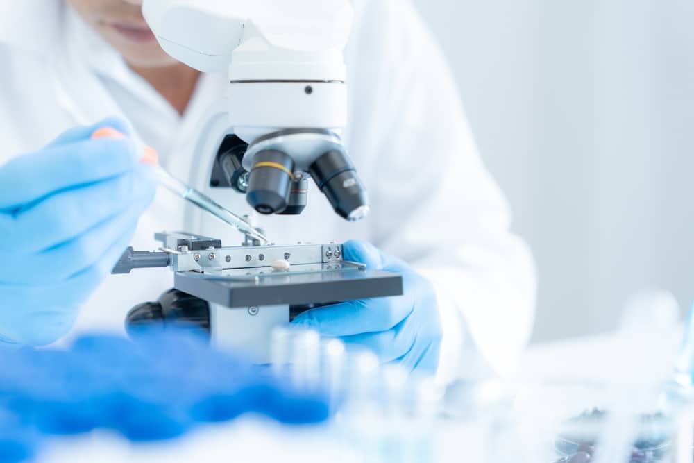 Montpellier maladies auto immunes