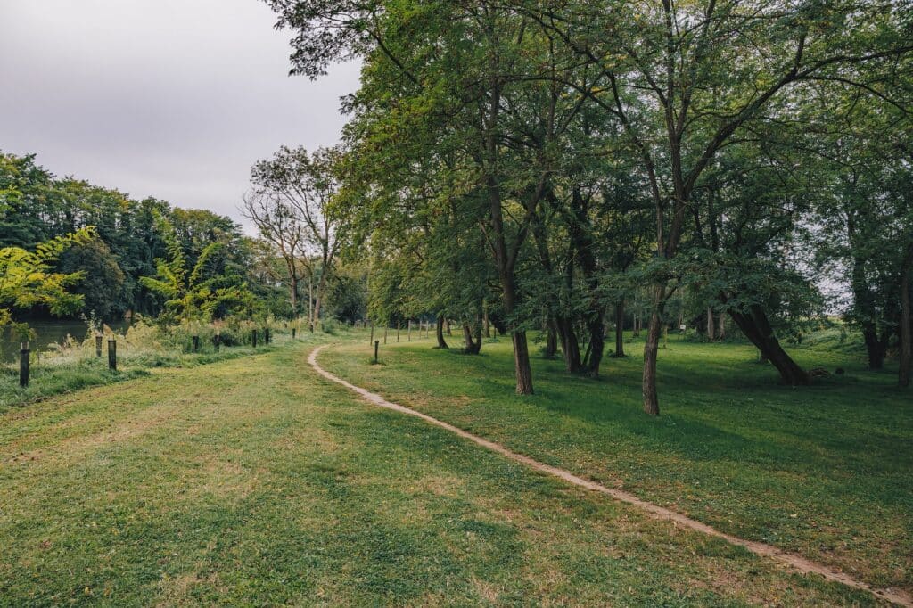 La boucle de Laurède permet de découvrir Cintegabelle et la nature environnante.