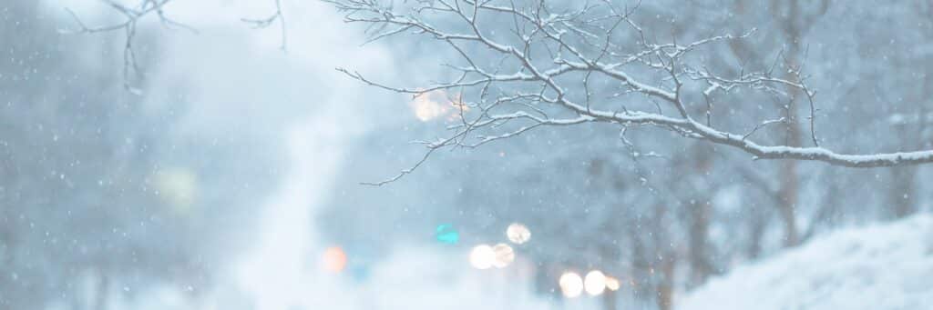 Neige-sur-un-arbre