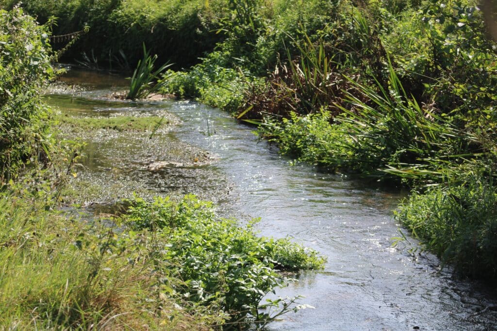Riviere-eau