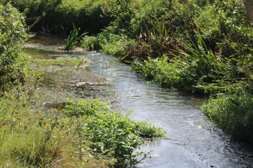 Riviere-eau