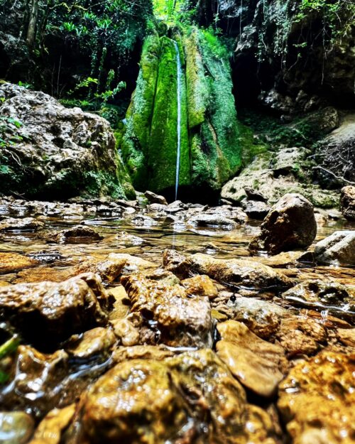 Les cascades tufières de Roquefort.