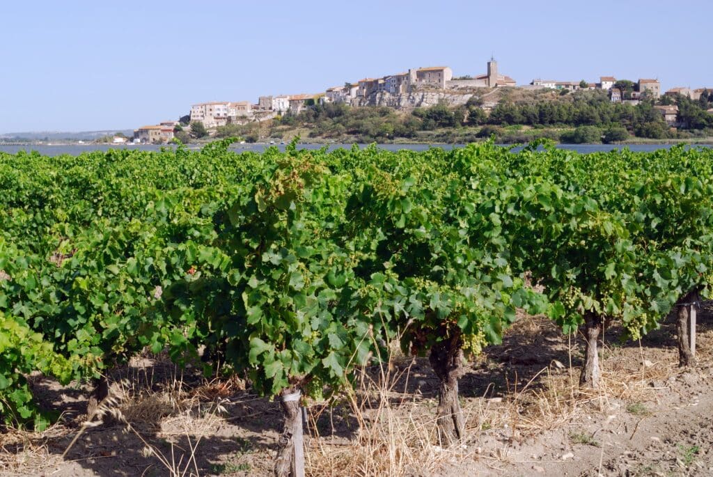 Narbonne Grand Castélou