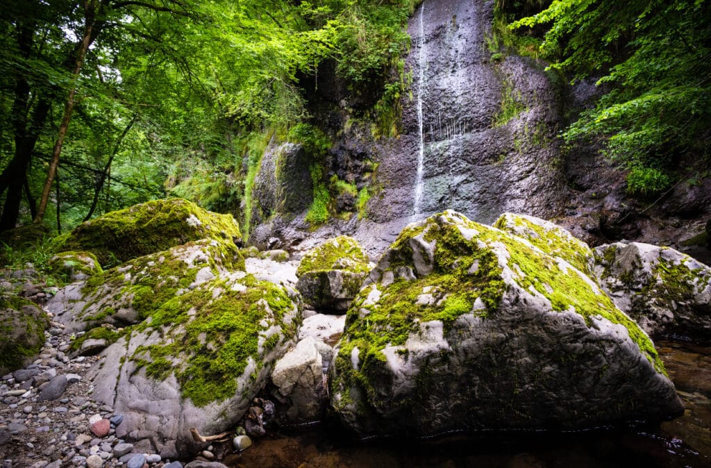 Se ressourcer dans la nature, sur le sentier des cascades d'Arifat, dans le Tarn.