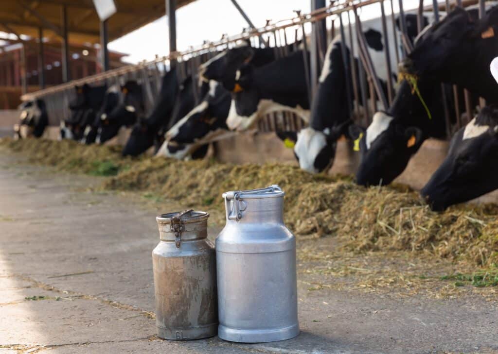 Tarn mesures urgence épizooties