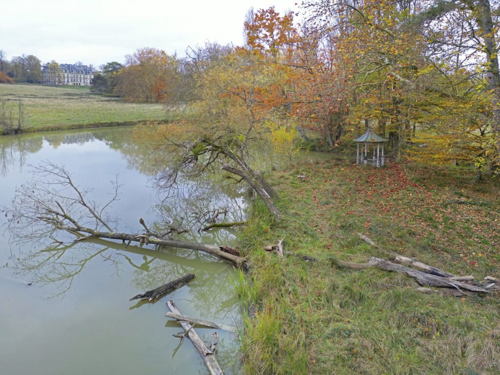 Val-de-Marne Bois Piple