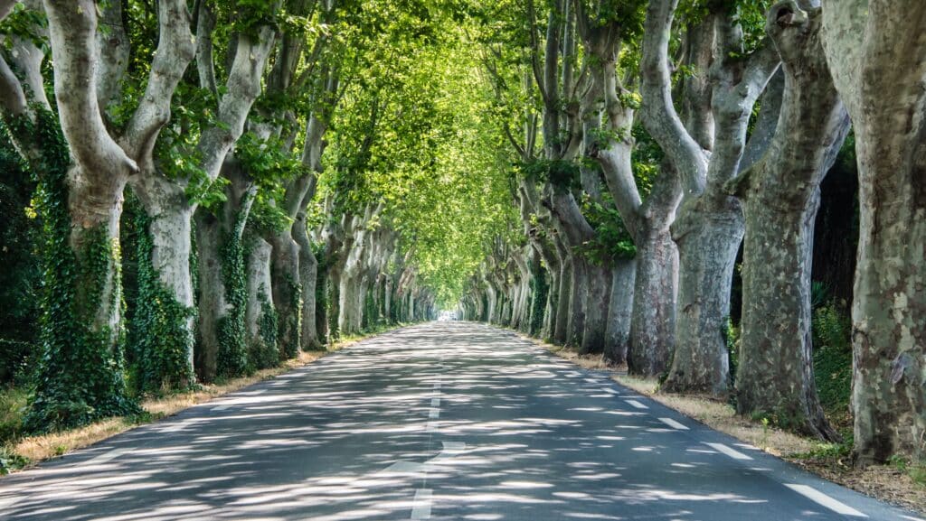 Pyrénées-Orientales Route fermée