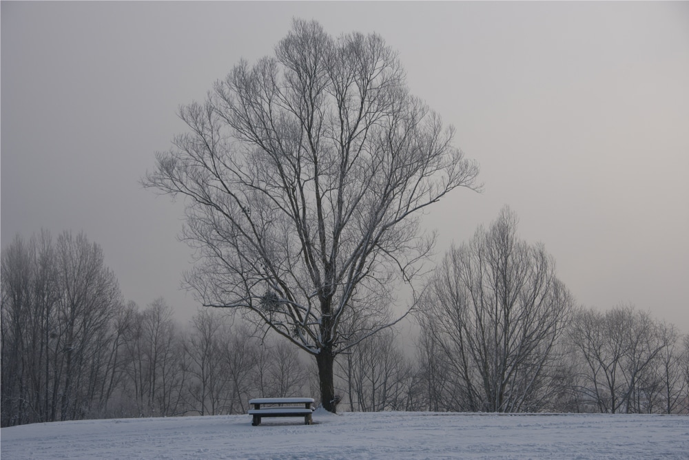 neige verglas Île-de-France