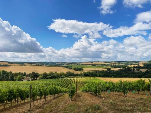 Partez à la découverte du vignoble Armagnac-Gascogne, sur la route des vins du Gers.