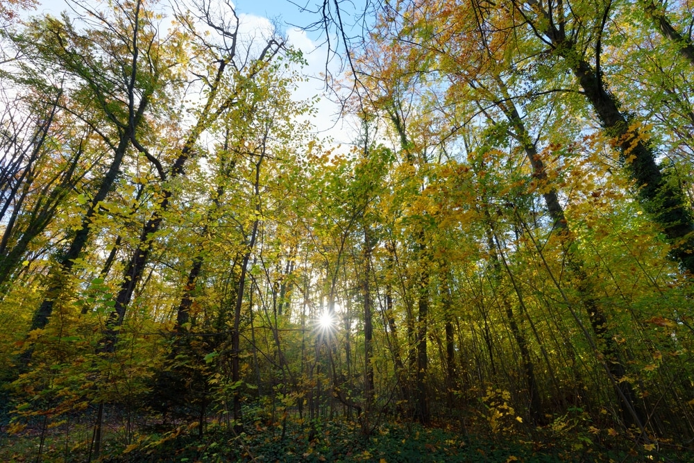 Mission Nature mares Hauts-de-Seine