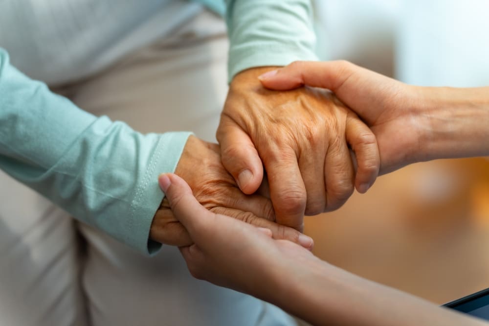 Hautes-Pyrénées facteurs seniors