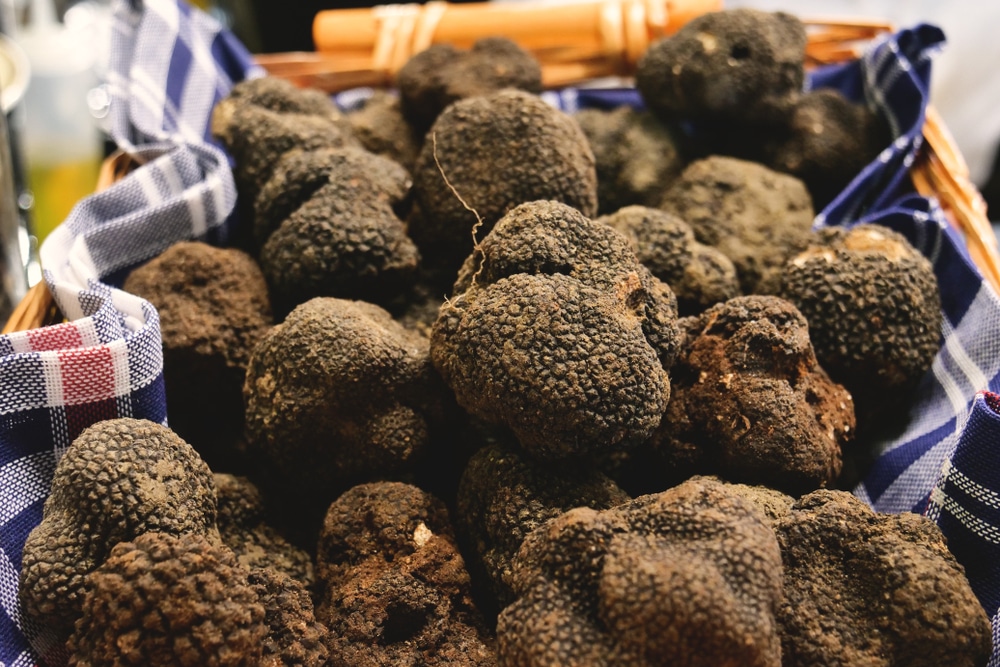 Lot insolite truffe