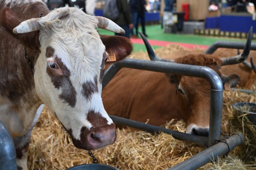 salon agriculture gers