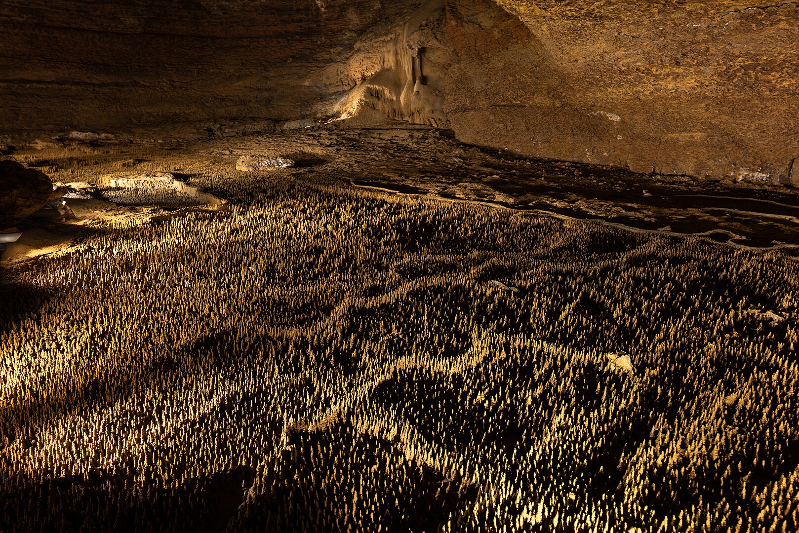 grotte Gard