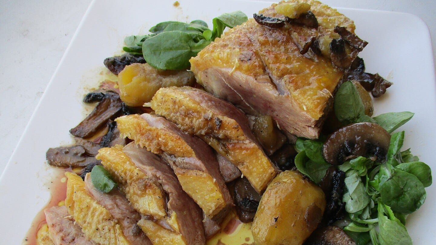 Magret canard Auch