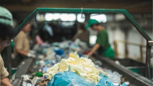 Du plastique sur le tapis d'une chaîne de recyclage.