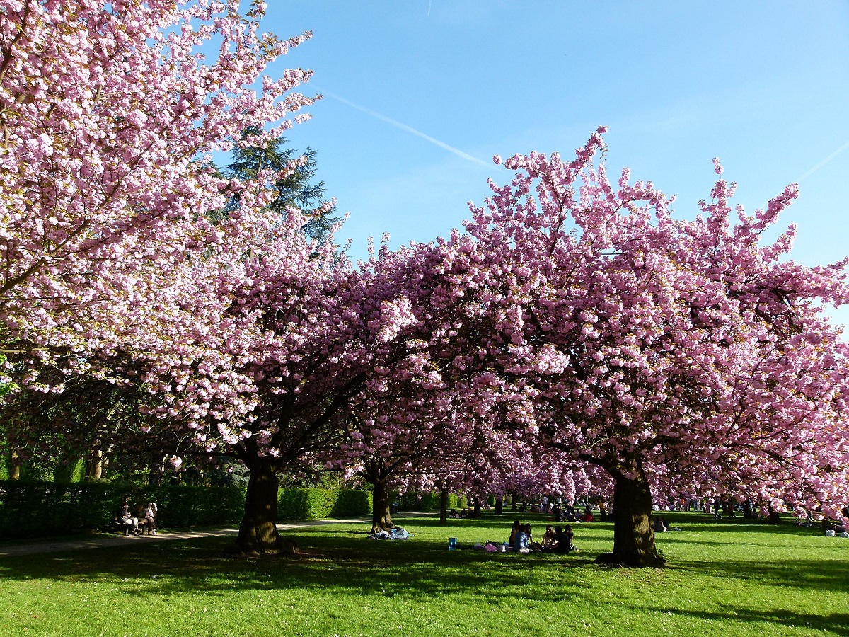 sceaux