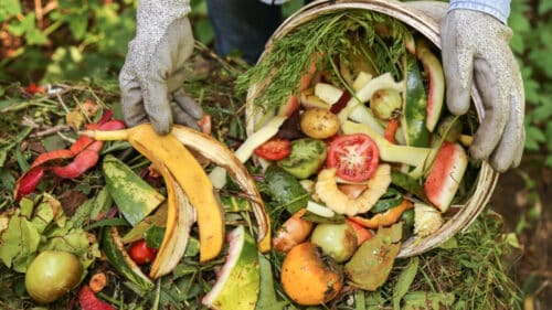 Un tas de compost avec des déchets biologiques.