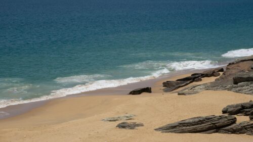 Littoral