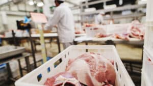 Le travail de la découpe de la viande dans un abattoir.