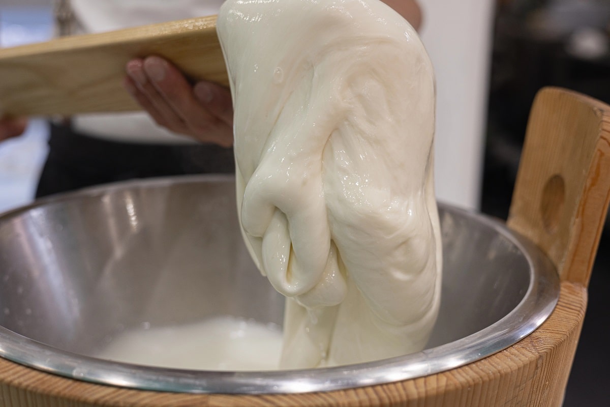 DIY mozzarella