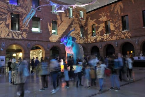 Nuit des Musées