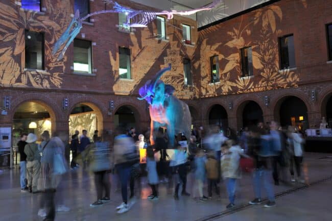 Nuit des Musées