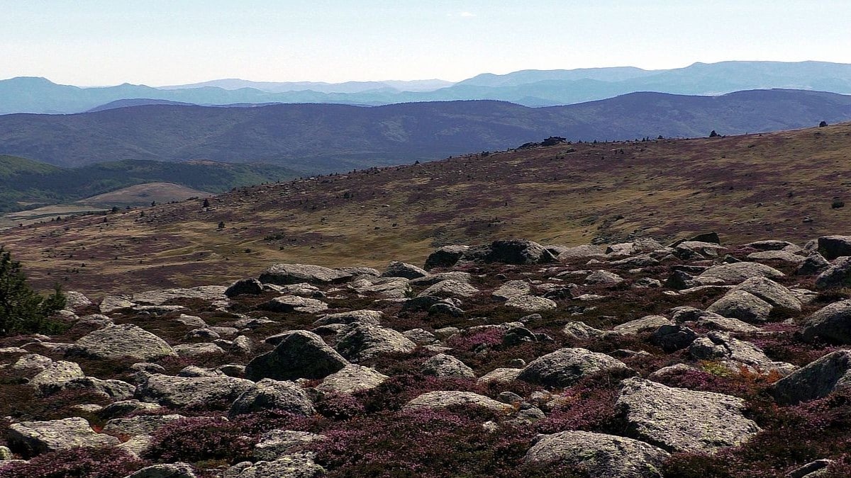 Cévennes randonnées