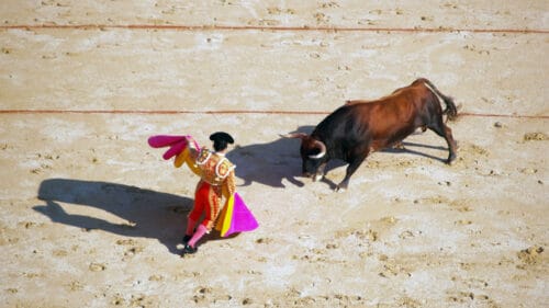 Un toréro face à un taureau, durant une corrida.