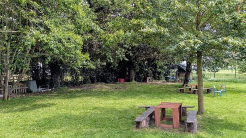 Des cours "oasis", avec des tables de pique-nique.