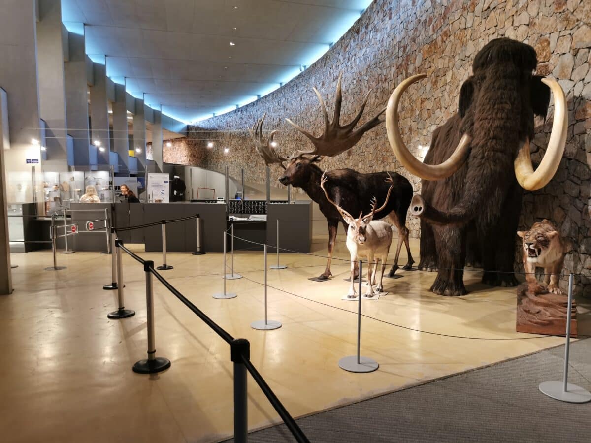 Nuit des musées