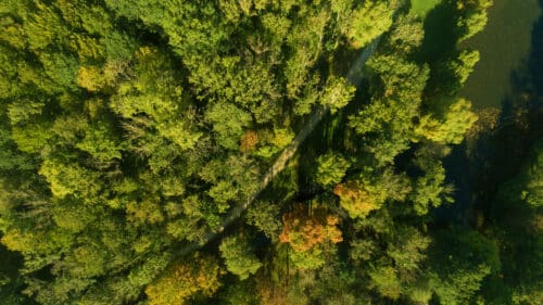 Le cirque de l'Essonne est un espace de nature sur trois départements en Île-de-France.