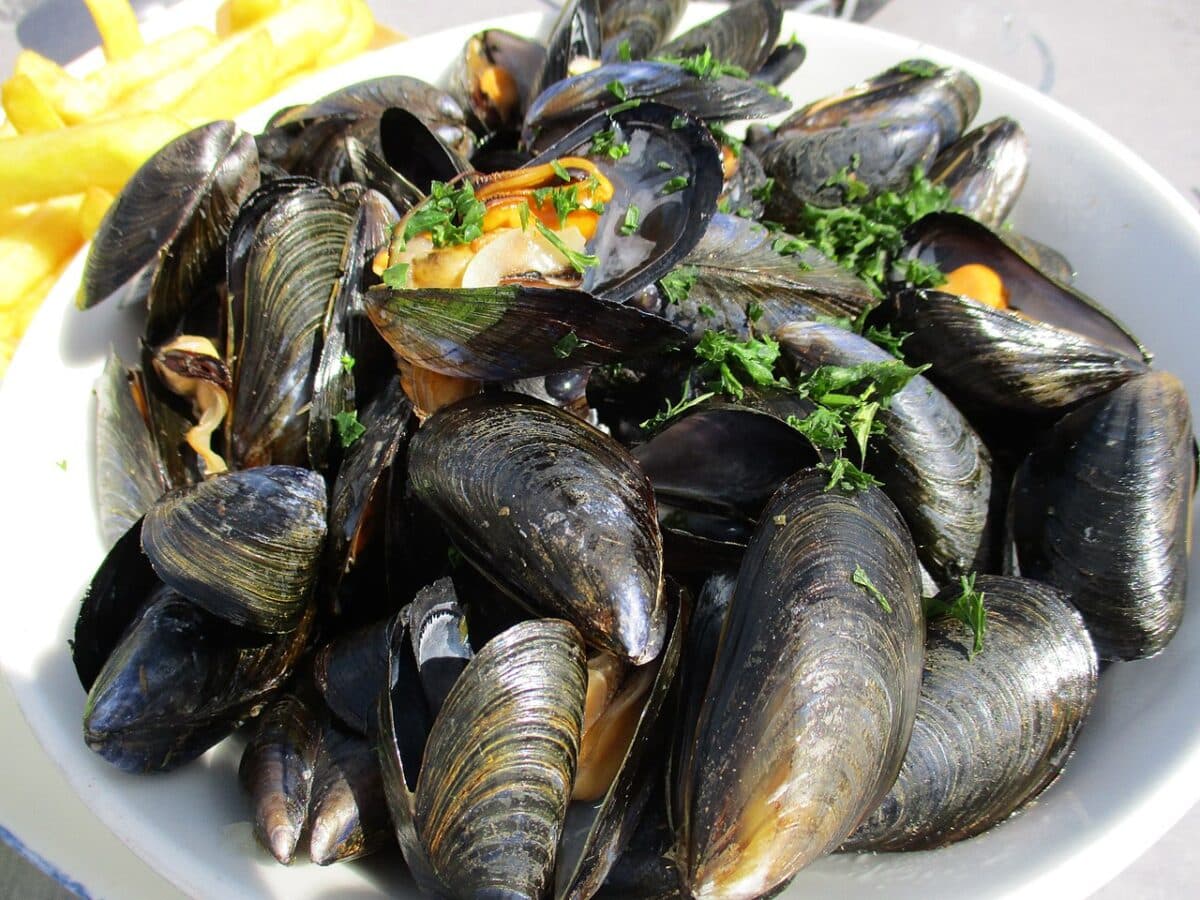 spécialités culinaires Hérault