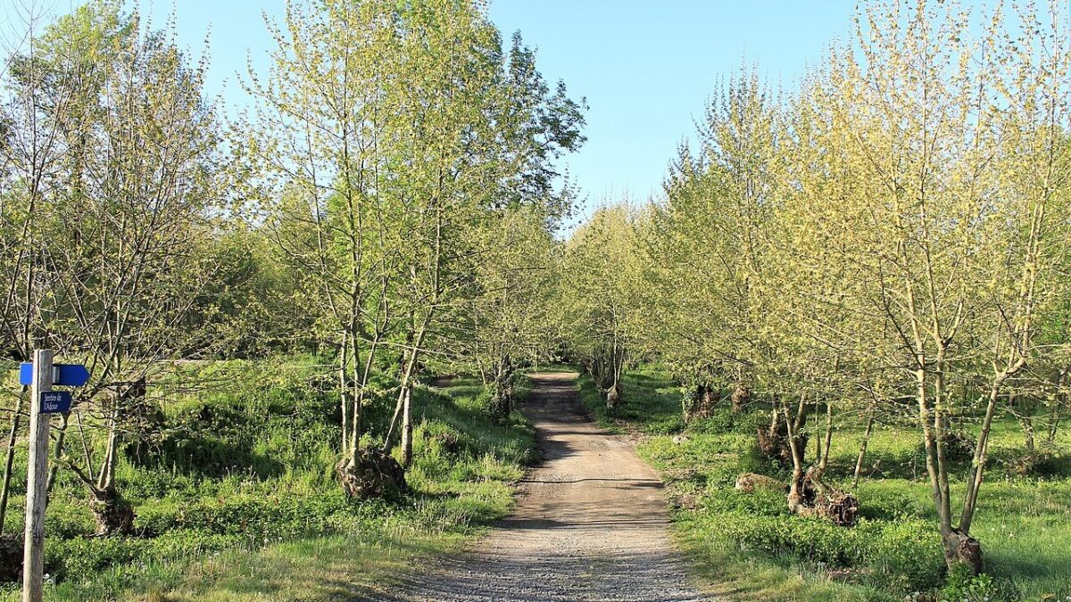 GR 101 Pyrénées randonnée