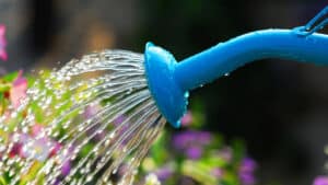 La sécheresse dans le Lot engendre des restrictions d'eau.