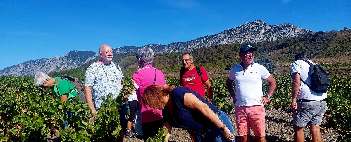 balade vignerons de Maury