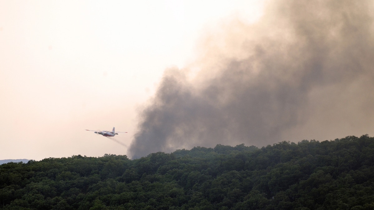 Plusieurs massifs de l'Hérault sont interdits à cause du risque d'incendie très élevé.