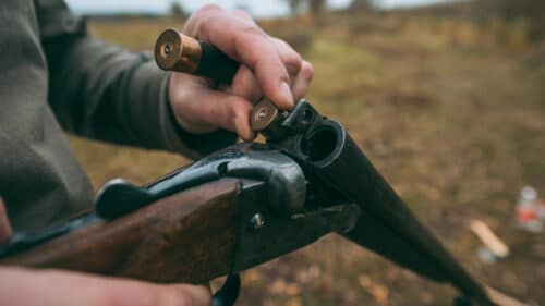 Le Lot s’est doté d’un nouveau schéma cynégétique 2025-2031 pour encadrer la chasse, renforcer la sécurité, gérer les espèces comme les sangliers et suivre la biodiversité.