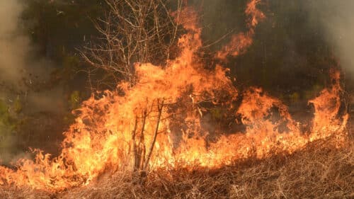 Un feu de végétation s'est déclaré dans l'Aude.