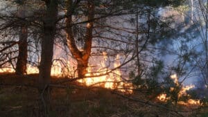Trois incendies sont en cours en Occitanie, dans l'Aude, le Gard et l'Hérault.