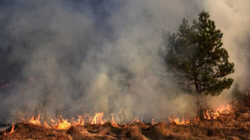 Un incendie de végétation est en cours sur la commune de Narbonne.