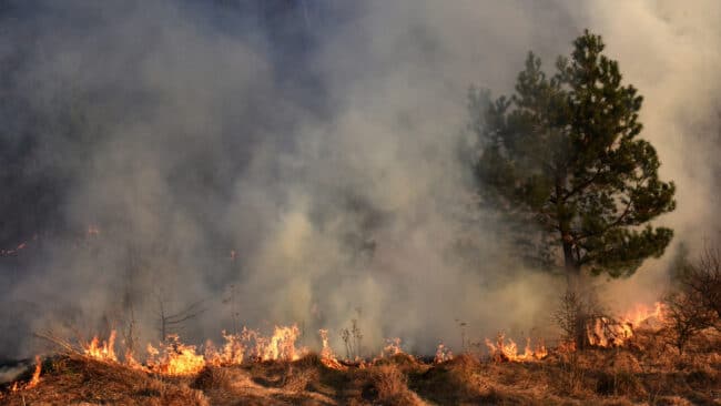 Un incendie de végétation est en cours sur la commune de Narbonne.