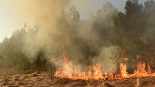 Un incendie de végétation a brulé plus de 300 hectares dans l'Aude.
