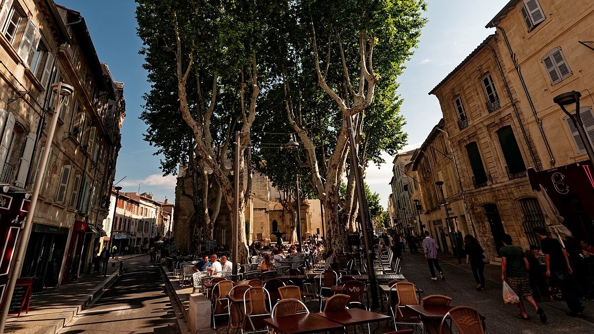 terrasses Avignon repas
