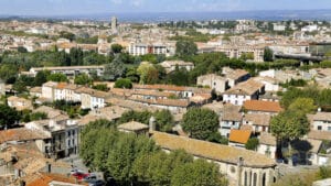 La ville de Carcassonne propose un dispositif pour végétaliser les façades des particuliers.