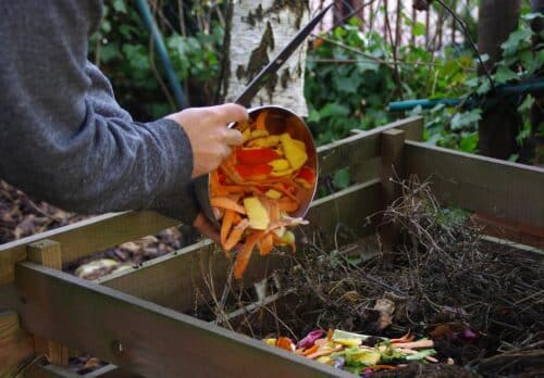 Biodéchets : nouveau dispositif de compostage à Digne-les-Bains