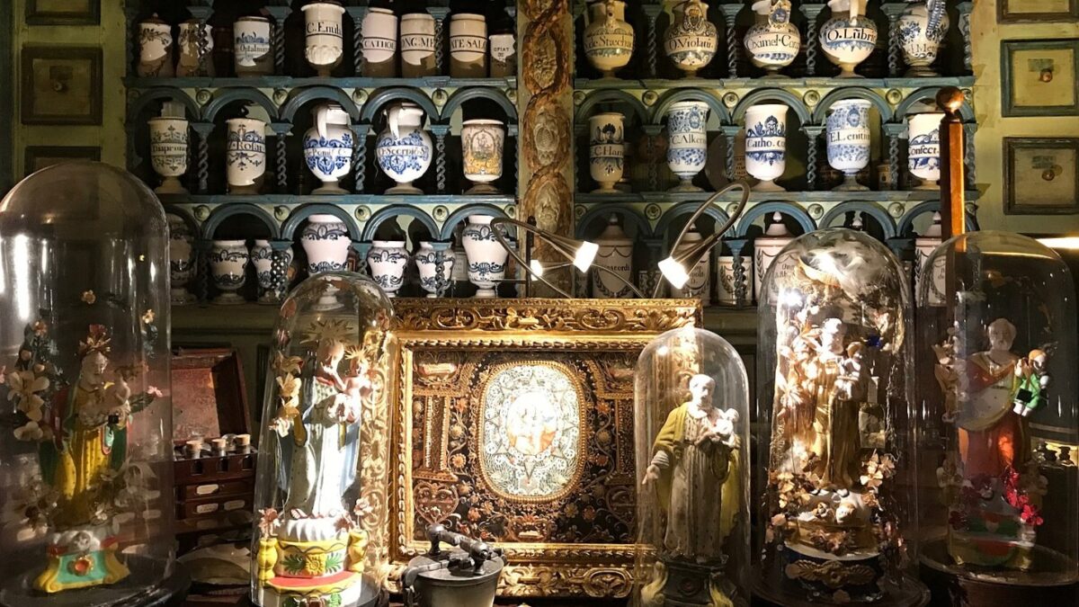cabinet de curiosités Cavaillon